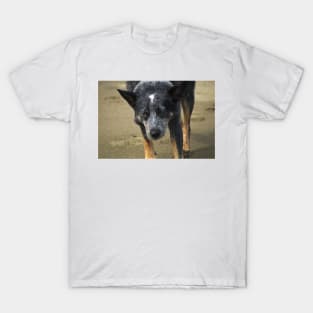 bll nose T-Shirt